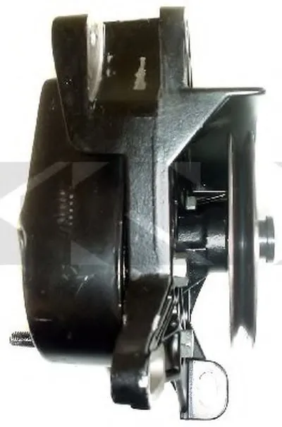 Гидравлический насос, рулевое управление SPIDAN купить