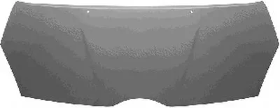 Капот двигателя VAN WEZEL купить