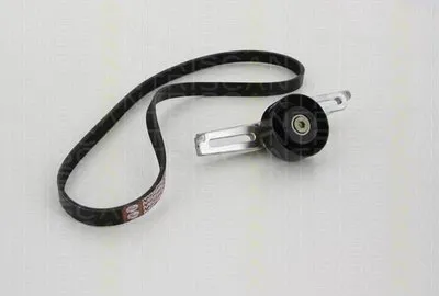 Поликлиновой ременный комплект TRISCAN купить