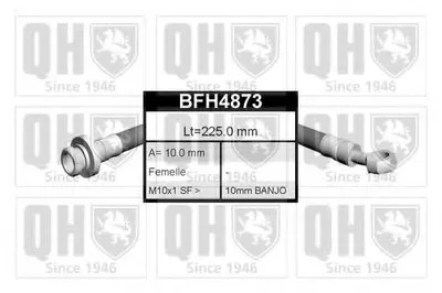 Тормозной шланг QUINTON HAZELL купить