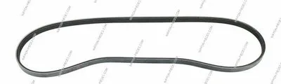 V-Ribbed Belts NPS купить