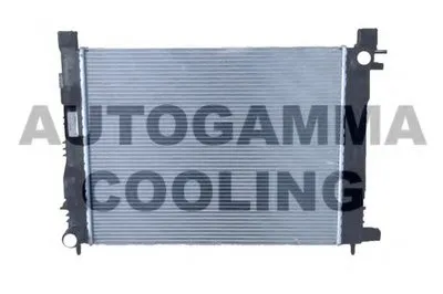 Радиатор, охлаждение двигателя AUTOGAMMA купить