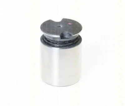 Поршень, корпус скобы тормоза TRISCAN купить