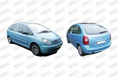 Ручка двери PRASCO купить