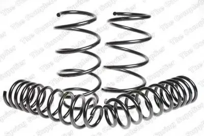 Комплект ходовой части, пружины ROC купить