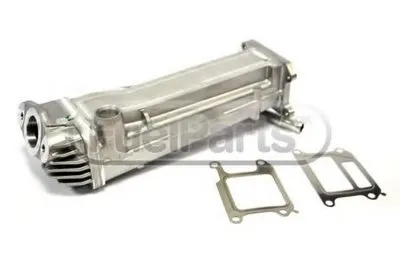 Клапан возврата ОГ Fuel Parts STANDARD купить