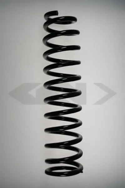 винтовая пружина SPIDAN купить