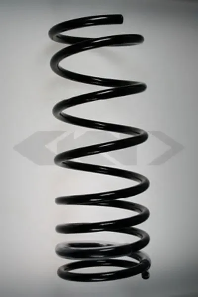 винтовая пружина SPIDAN купить