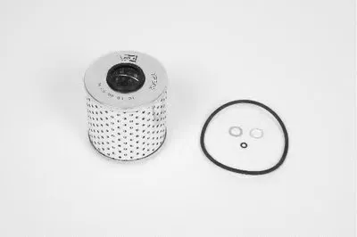 Масляный фильтр Ecological CHAMPION купить