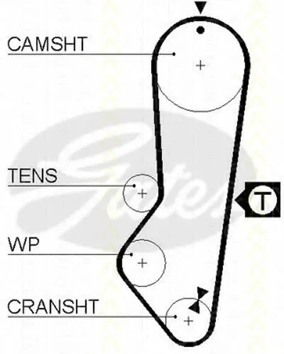 Ремень ГРМ TRISCAN купить