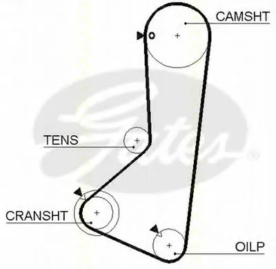 Ремень ГРМ TRISCAN купить