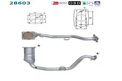 Катализатор для переоборудования AS купить