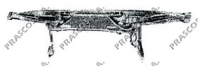 Облицовка передка PRASCO купить