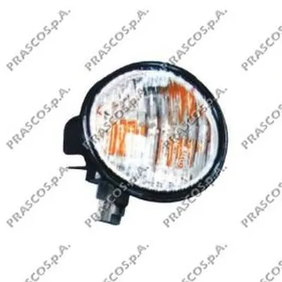 Рассеиватель, фонарь указателя поворота PRASCO купить