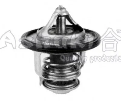 Термостат, охлаждающая жидкость ASHUKI купить