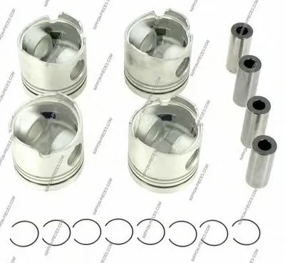 Поршень NPS купить