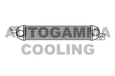 Интеркулер AUTOGAMMA купить