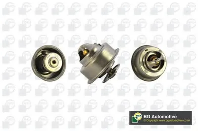 Термостат, охлаждающая жидкость BGA купить