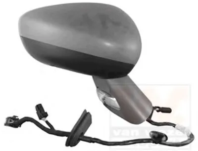 Наружное зеркало VAN WEZEL купить