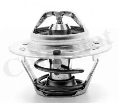 Термостат, охлаждающая жидкость CALORSTAT by Vernet купить