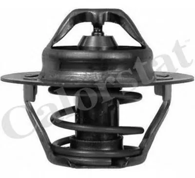 Термостат, охлаждающая жидкость CALORSTAT by Vernet купить