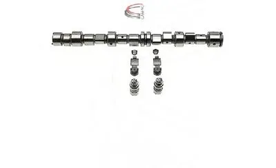 Комплект распредвала CAMPRO купить