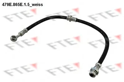 Тормозной шланг FTE купить