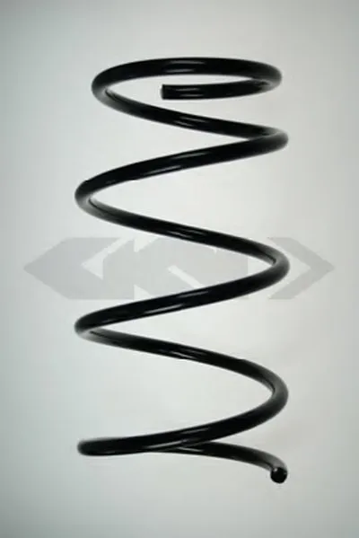винтовая пружина SPIDAN купить