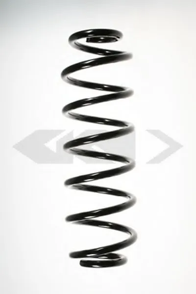винтовая пружина SPIDAN купить