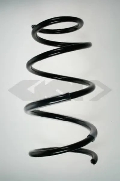 винтовая пружина SPIDAN купить