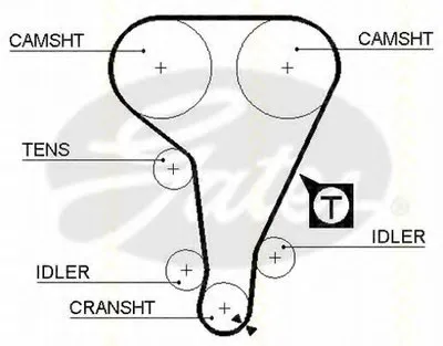 Ремень ГРМ TRISCAN купить