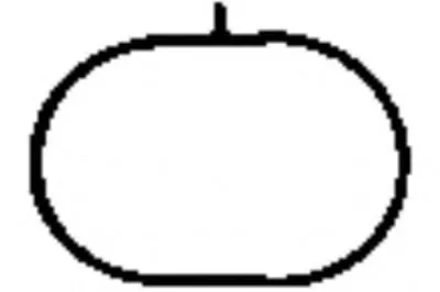 Прокладка, впускной коллектор PAYEN купить