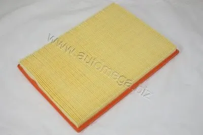 Воздушный фильтр AutoMega Premium AUTOMEGA купить