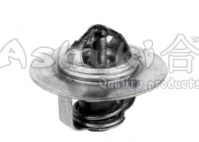 Термостат, охлаждающая жидкость ASHUKI купить