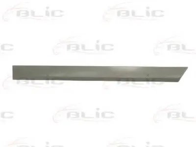 Облицовка / защитная накладка, дверь BLIC купить