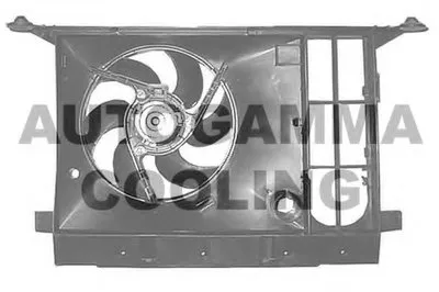 Вентилятор, охлаждение двигателя AUTOGAMMA купить