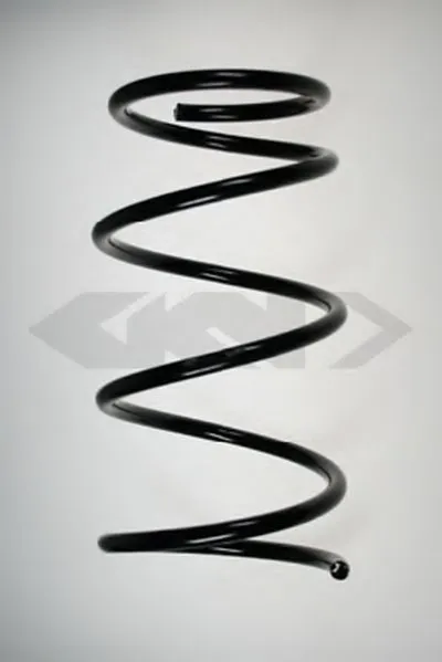 винтовая пружина SPIDAN купить