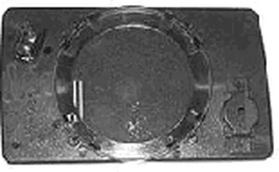 Зеркальное стекло, наружное зеркало VAN WEZEL купить