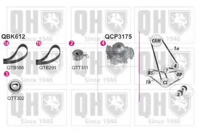 Водяной насос + комплект зубчатого ремня QUINTON HAZELL купить