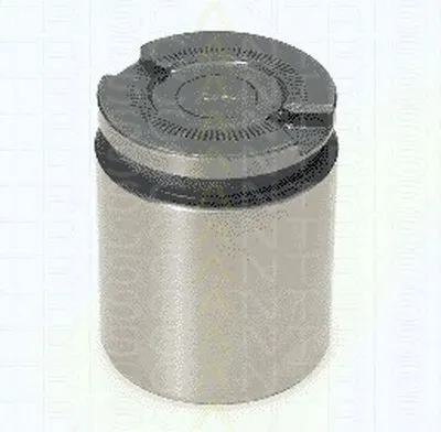 Поршень, корпус скобы тормоза TRISCAN купить