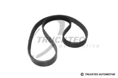 V-Ribbed Belts TRUCKTEC AUTOMOTIVE купить