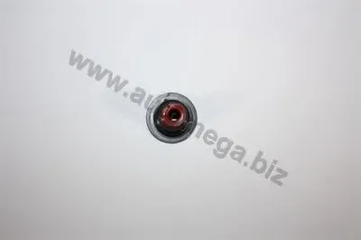 Уплотнительное кольцо, стержень кла Erstausrüster AUTOMEGA купить