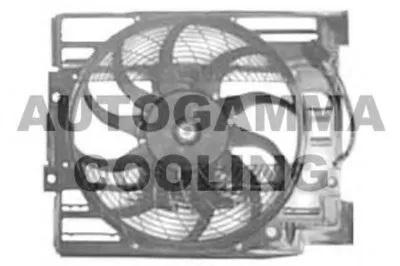 Вентилятор, охлаждение двигателя AUTOGAMMA купить