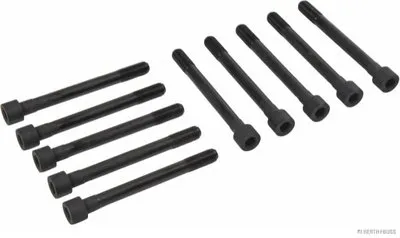 Комплект болтов головки цилидра HERTH+BUSS JAKOPARTS купить