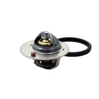 Термостат, охлаждающая жидкость FISPA купить