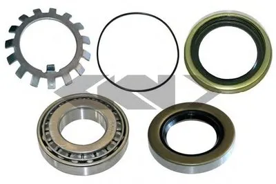 Комплект подшипника ступицы колеса SPIDAN купить