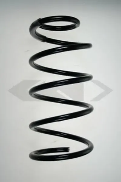 винтовая пружина SPIDAN купить