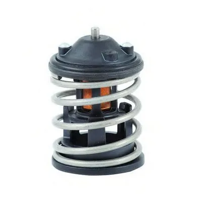 Термостат, охлаждающая жидкость FISPA купить