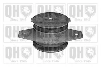 Подвеска, автоматическая коробка передач; Подвеска, ступенчатая коробка передач QUINTON HAZELL купить