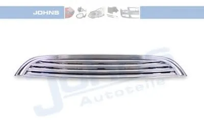 Решетка радиатора JOHNS купить